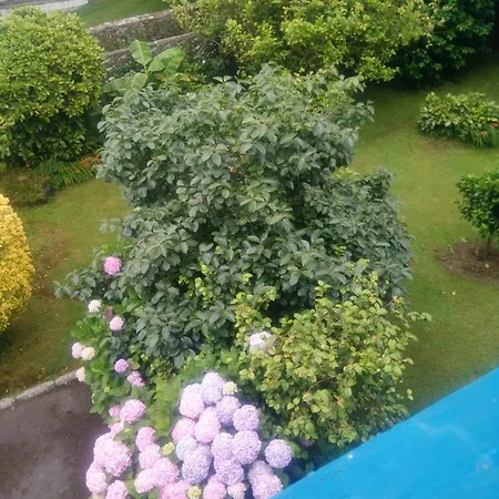 Tatil Evi Holiday *